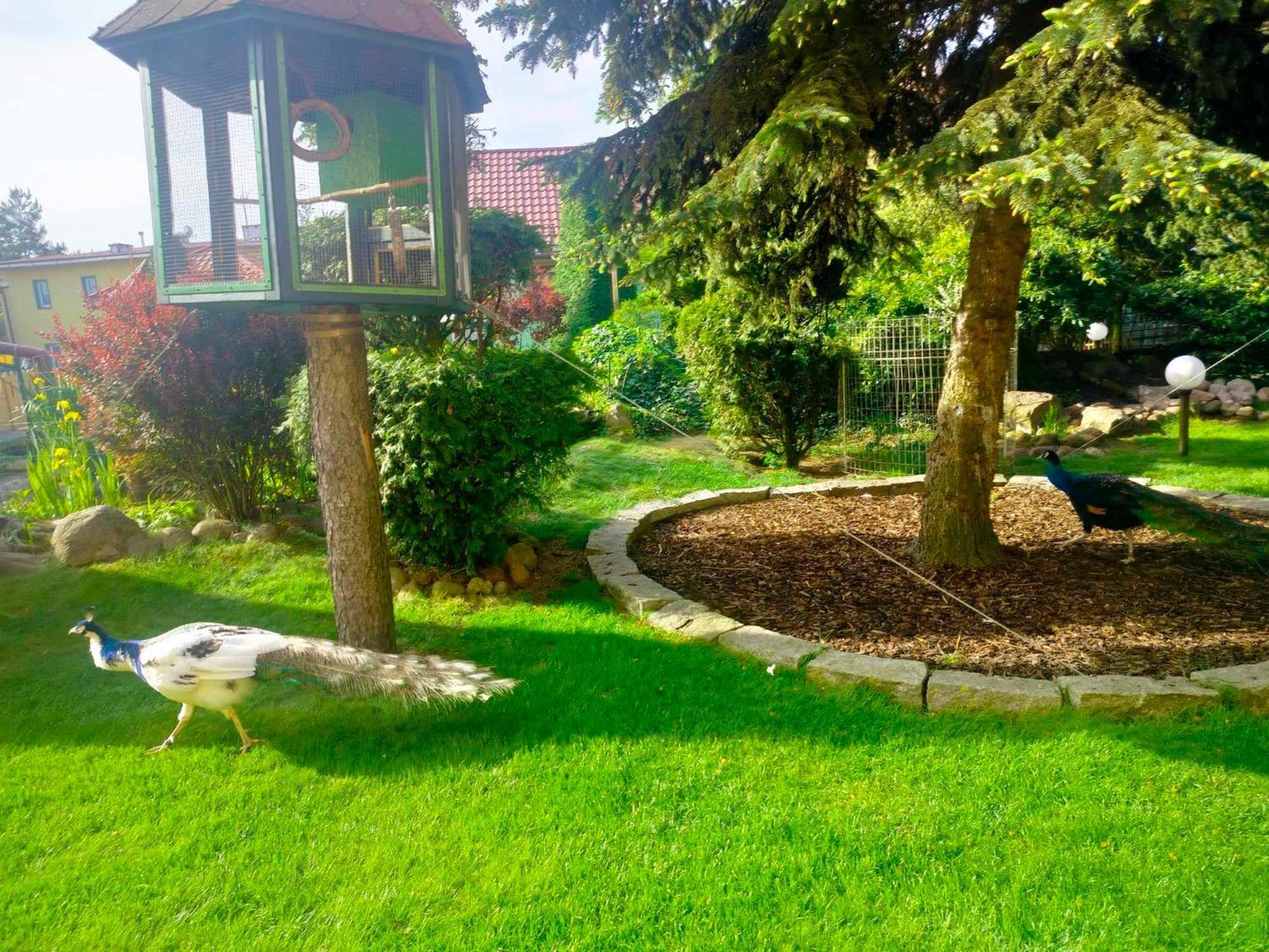 Noclegi I Restauracja Gracja Bełchatów Exterior foto